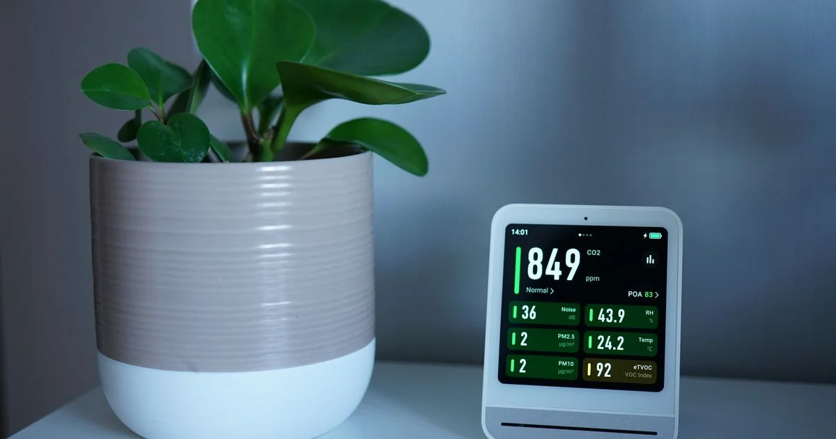 An air quality monitor on a shelf showing live particulate readings beside a houseplant, the measurement a Levoit air purifier versus Dyson air purifier comparison turns on