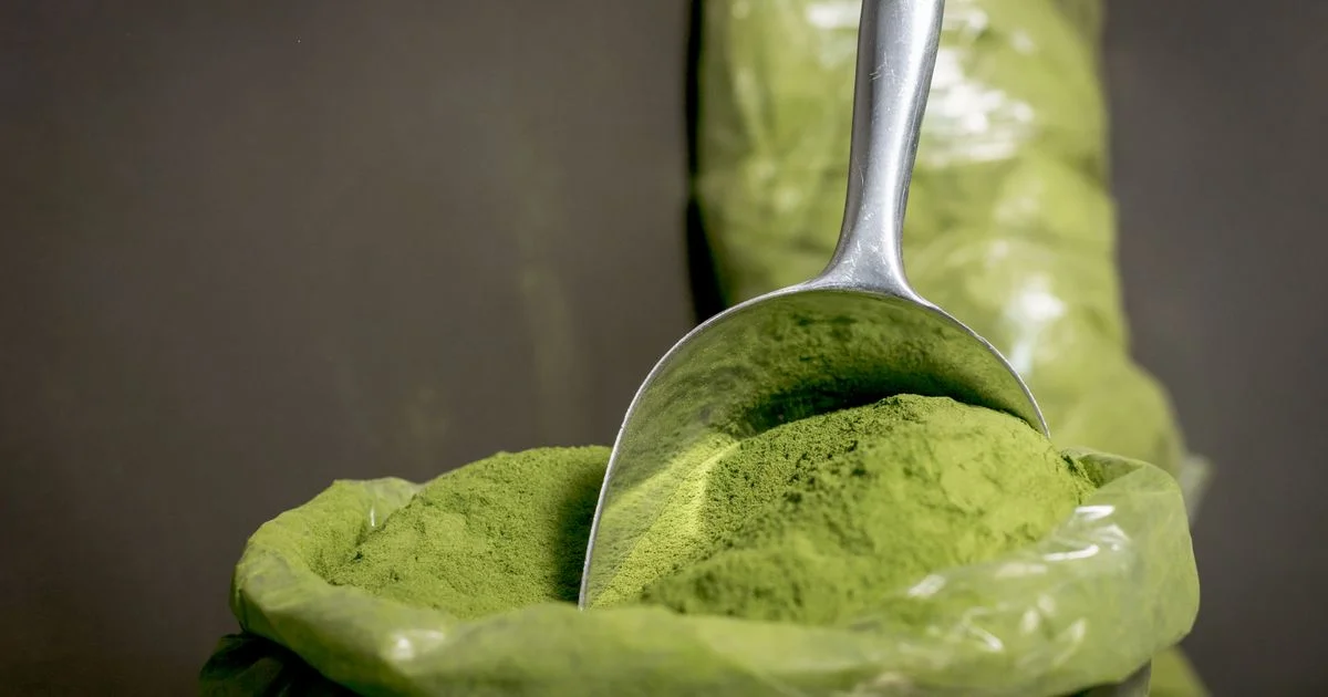 A steel scoop lifting green supplement powder, the format at issue in the greens powder vs multivitamin question